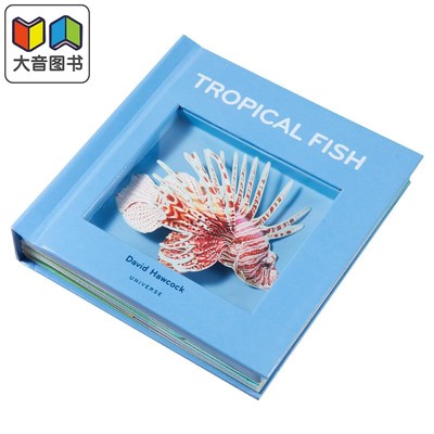 英国纸艺大师大卫 霍考克 热带鱼立体书 Tropical Fish 英文原版 David Hawcock 3D立体书 礼品书 大音