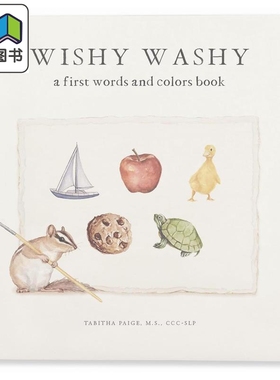 对孩子入门单词和颜色的教育 Wishy Washy First Words and Colors for Growing Minds英文原版 早教认知纸板书 大音