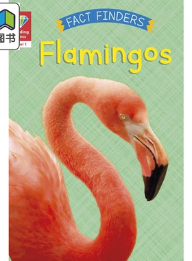 Reading Gems Fact Finders Flamingos Level 1 宝石百科小读本1级 火烈鸟 分级阅读 英文原版 动物科普儿童读物