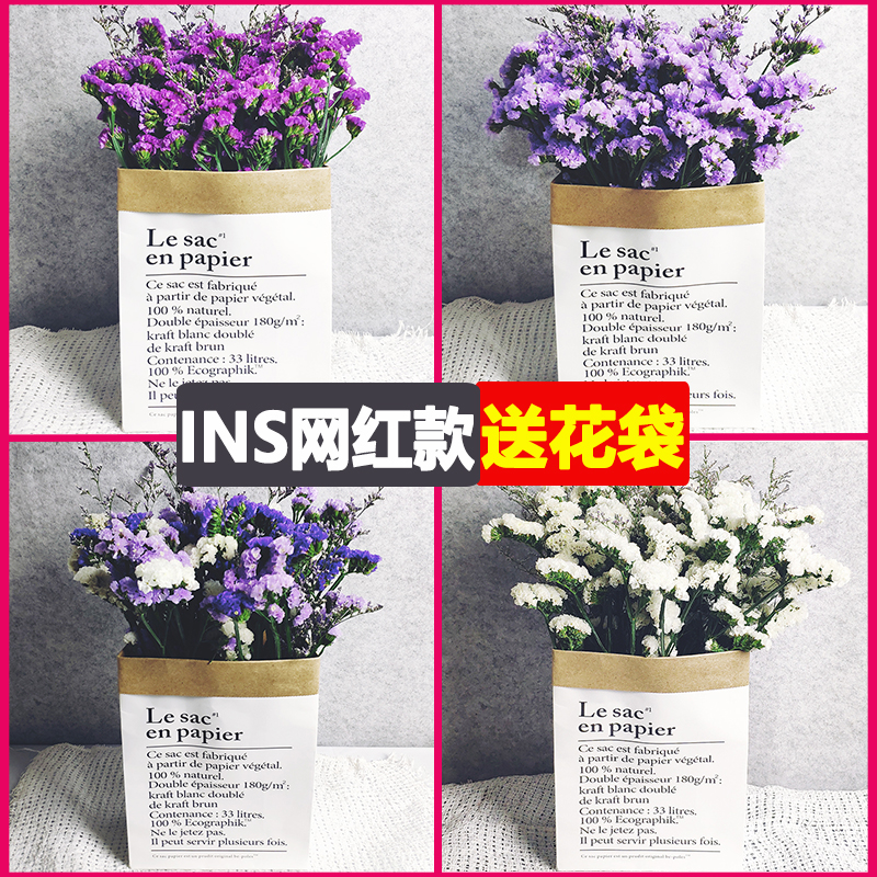 干花花束ins装饰品摆件勿忘我永生花真花网红北欧家居摆设小清新