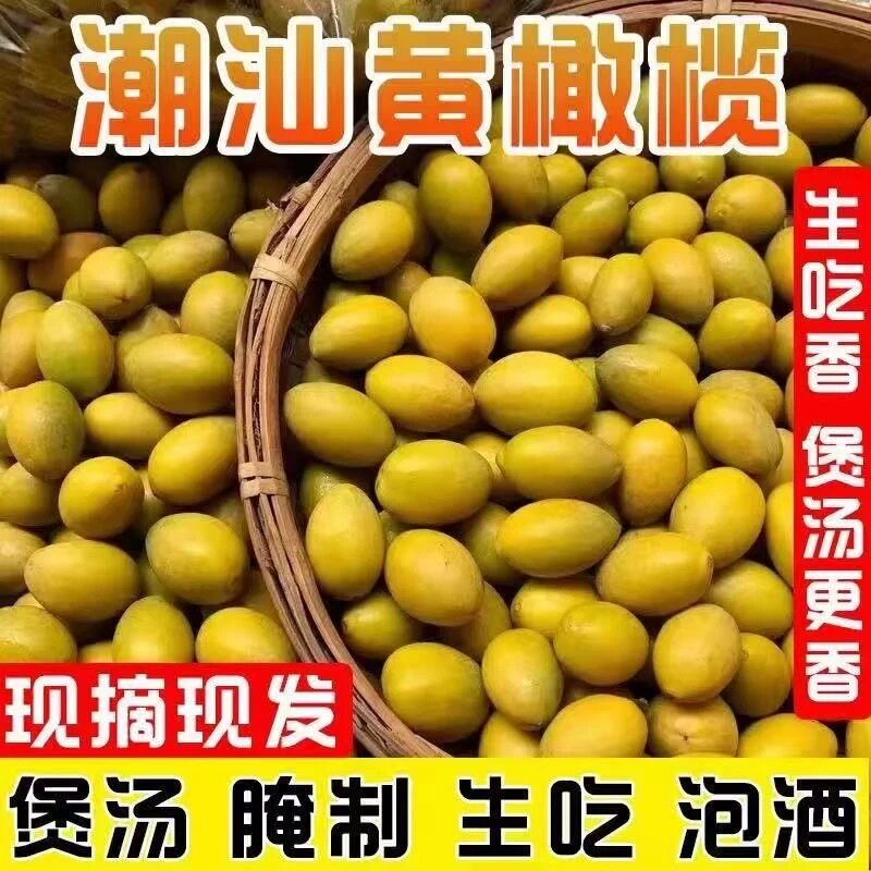 新鲜青果青橄榄潮汕特产现摘生橄其它