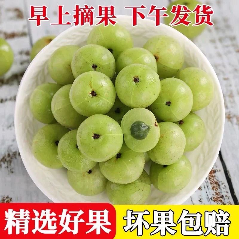 新鲜采摘青油甘子余甘果牛甘果滇橄榄果余甘子油甘酸水果5斤