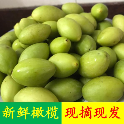 新鲜青果白榄橄榄潮汕特产现摘生橄榄孕妇宝宝适合煲汤泡酒1份1斤