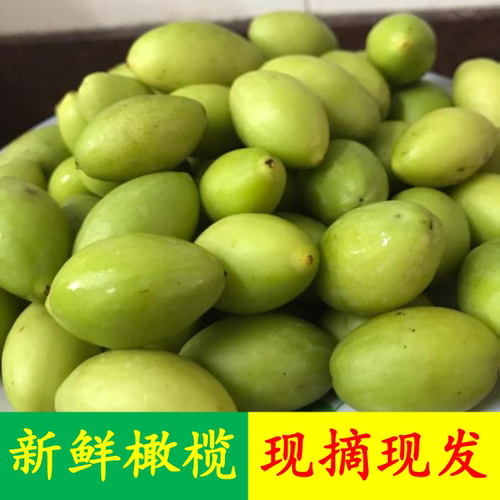 潮汕特产现摘宝宝适合1份1斤橄榄