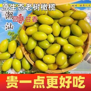 潮汕特产灵峰青橄榄甘香甜送礼甜种凌峰橄榄新鲜生吃水果