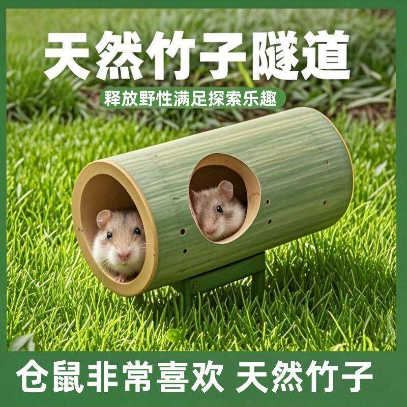 仓鼠玩具竹筒金丝熊躲避窝屋解闷造景豚鼠荷兰猪迷宫笼子打洞隧道