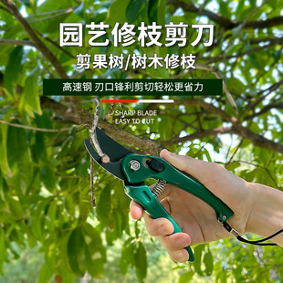 修枝剪花艺树枝修剪刀园艺园林修枝摘果剪园林修建工具家用修花剪