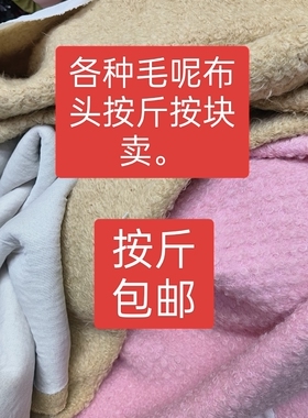 秋冬新款羊绒顺毛呢面料羊毛羊绒呢大衣面料单面顺毛呢圈圈呢布料