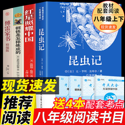 八年级课外书籍必读全套4册钢铁