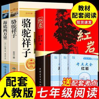 全套3册海底两万里骆驼子书原著