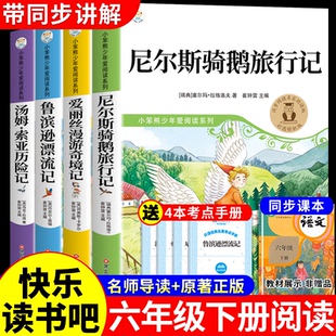 全套4册 鲁滨逊漂流记六年级下册必读正版课外书原著完整版汤姆索亚历险记尼尔斯骑鹅旅行记爱丽丝漫游奇境快乐读书吧6下书籍宾孙P