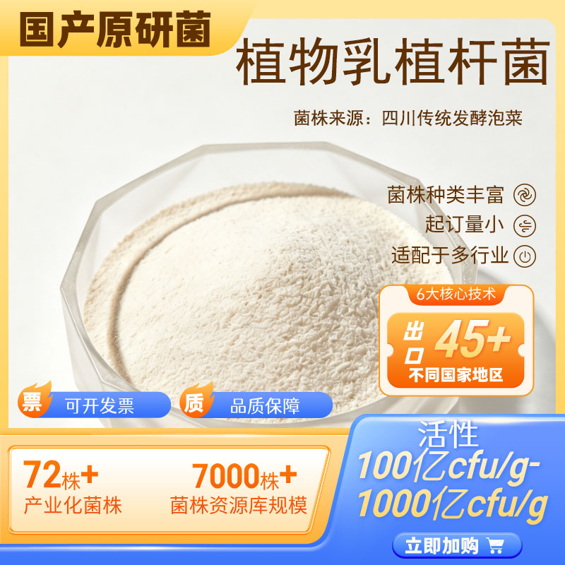 植物乳杆菌粉植物来源食品级可发酵果蔬汁泡菜植物基豆浆豆奶酸奶
