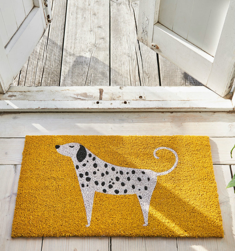 印度进口天然椰棕门垫除尘简约