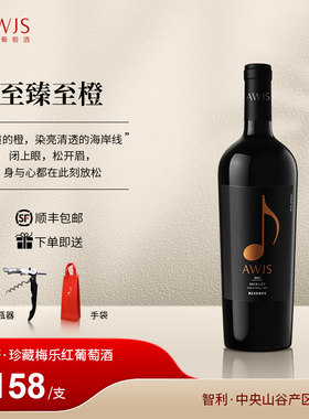 音符智利进口梅乐半干红葡萄酒