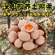 30枚鸡蛋新鲜土鸡蛋正宗农家散养草鸡蛋农村笨鸡蛋批发整箱柴鸡蛋