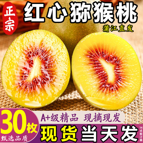 四川蒲江正宗红心猕猴桃精品大果