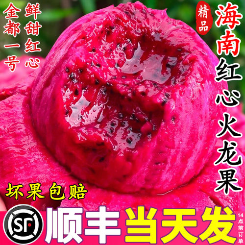 海南金都一号红心火龙果新鲜水果
