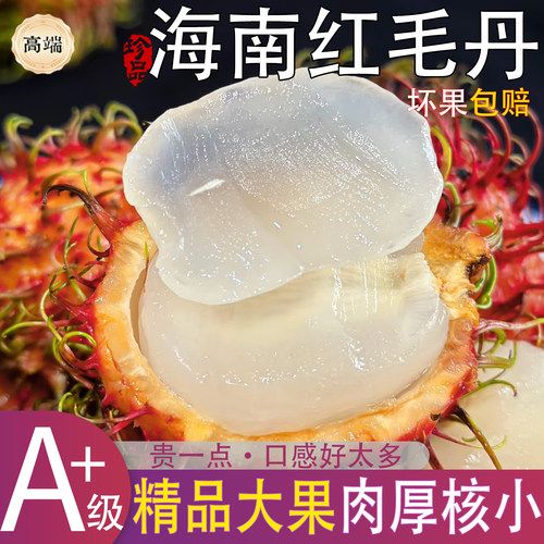 热带海南红毛丹大果肉厚核小当季