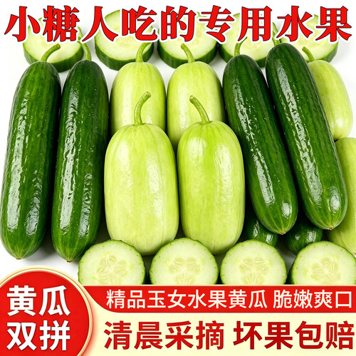 当季现摘玉女水果小黄瓜低糖水果