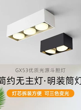 简约客厅无主灯照明方形GX53斗胆灯led格栅灯吸顶射灯明装筒灯