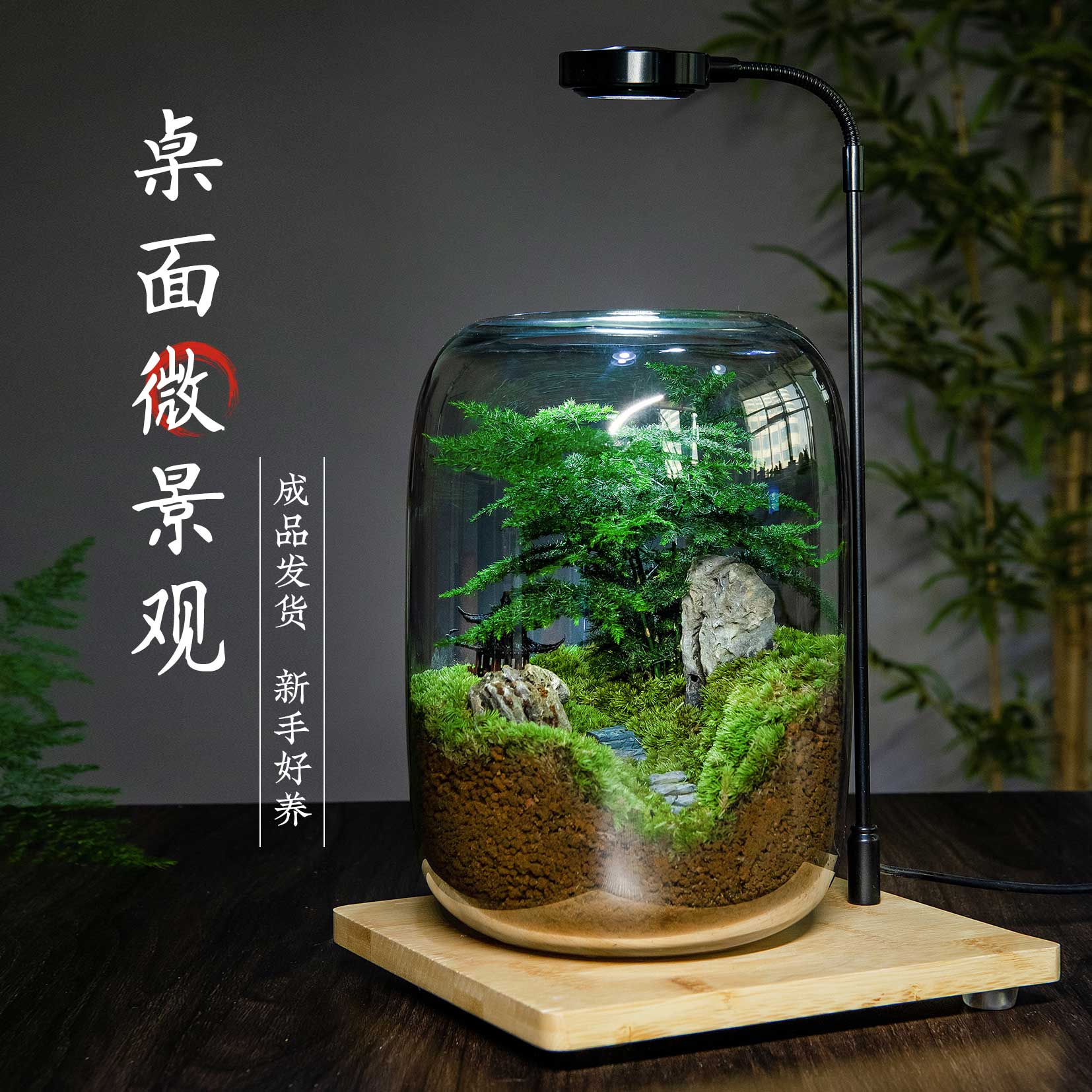 生命之树生态瓶苔藓创意微景观桌面盆栽青苔造景缸植物办公室绿植 鲜花速递/花卉仿真/绿植园艺 苔藓微景观 原图主图