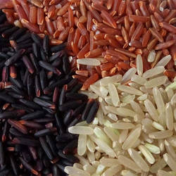 新米广西巴马三色糙米粗粮饭糙米低糖健身餐粗粮黑五谷红杂粮500g