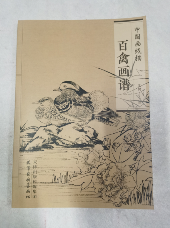 中国画线描/百禽画谱 王健绘 工笔白描禽鸟翎毛图集 花鸟画底稿临摹