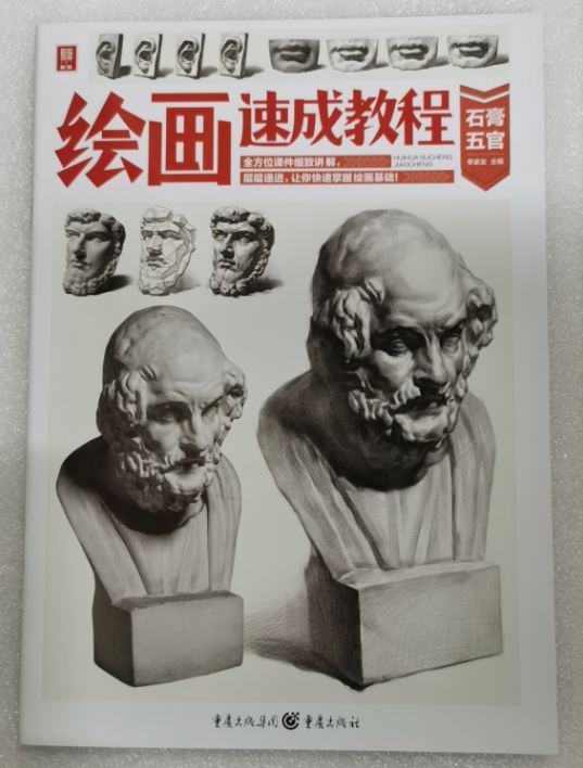 绘画速成教程石膏五官2021敲门砖素描石膏头像五官局部头骨结构光影
