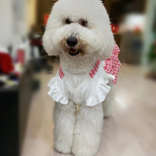 哈尼原创狗狗巨贵中大型犬衣服蓬蓬裙金毛柴犬萨摩耶假两件连体裙