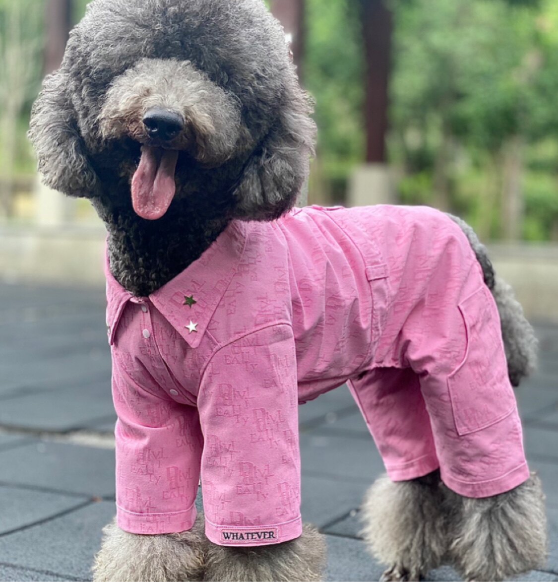 哈尼原创设计 巨贵金毛大型犬四脚连体服 潮酷粉色提花牛仔连体裤