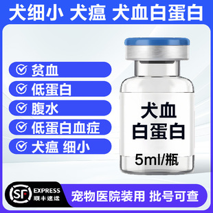 宠物狗低蛋白腹水犬血白蛋白注射液低蛋白血症补充蛋白质细小犬瘟