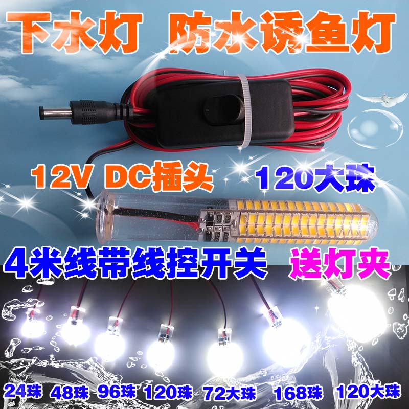 12VLED圆头强光养殖防水灯