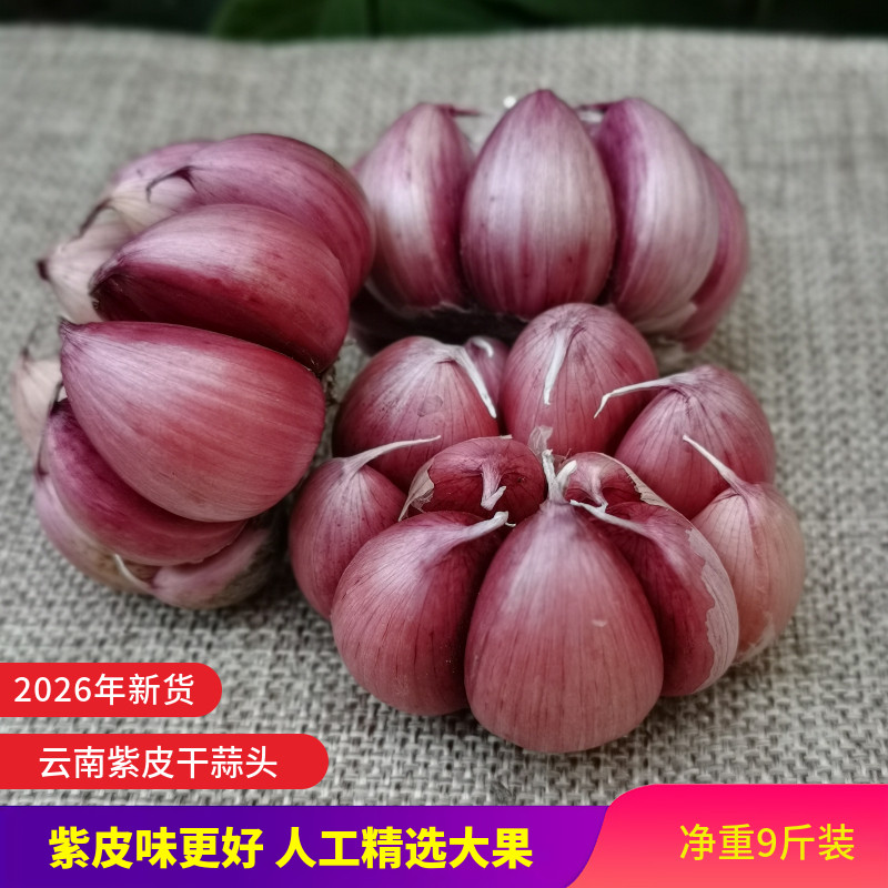 2026年新鲜云南大理紫皮大蒜头多瓣蒜红皮干蒜9斤大蒜红蒜紫皮蒜