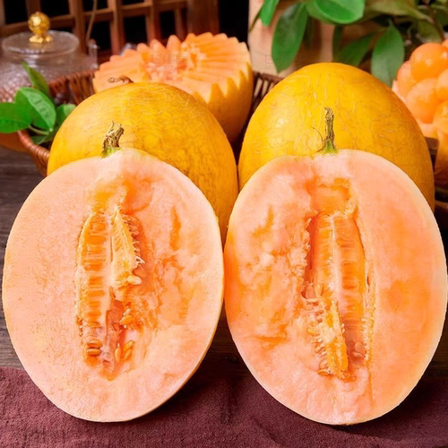 黄金蜜瓜哈密瓜当季脆甜黄皮网纹