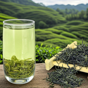 2026年竹溪新茶春茶绿茶自己喝