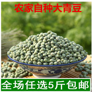 大青豆子山东农家 自种青豆青大豆青皮豆绿大豆500g豆浆杂粮熬粥