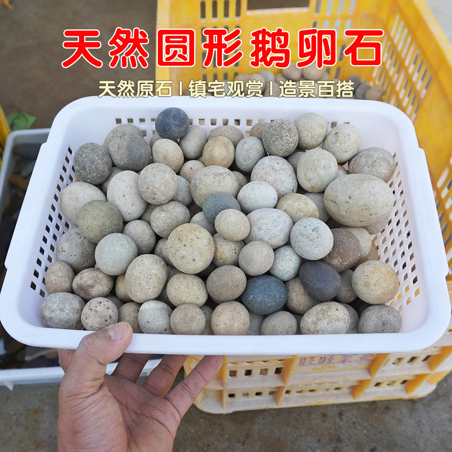 天然圆形鹅卵石鱼缸造景石