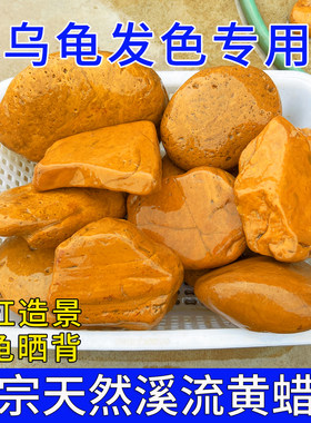 乌龟发色专用黄蜡石天然晒台鱼缸溪流造景小鹅卵石黄缘草龟垫脚石