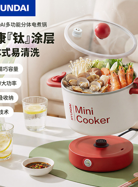 电煮锅家用宿舍多功能小型分体式