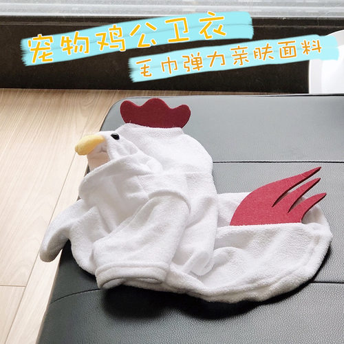 搞笑狗衣服网红泰迪犬抖音法斗