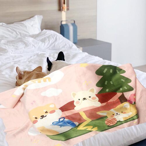 亚马逊卡通婴儿毛毯新品