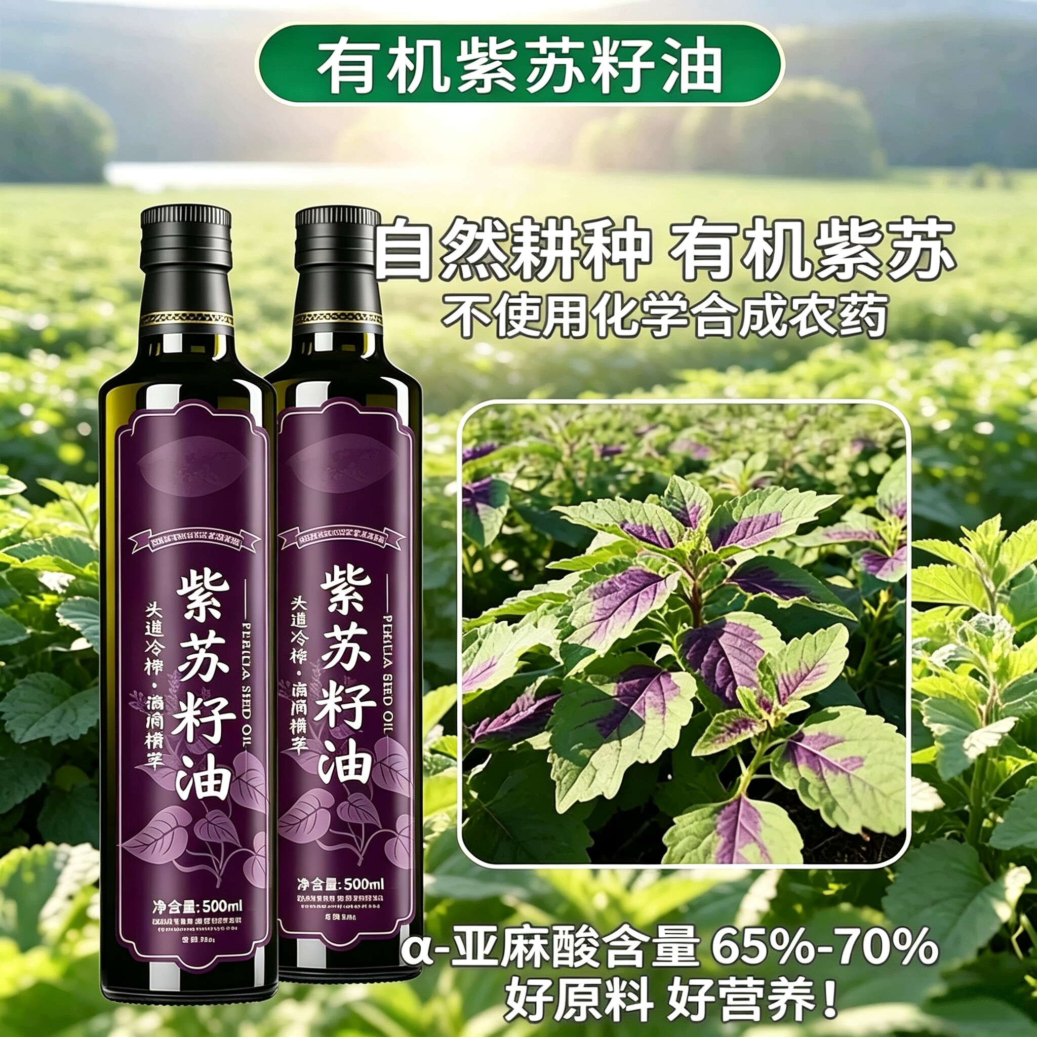 紫苏籽油500ml低温一级冷榨纯苏子油食用油口服热炒