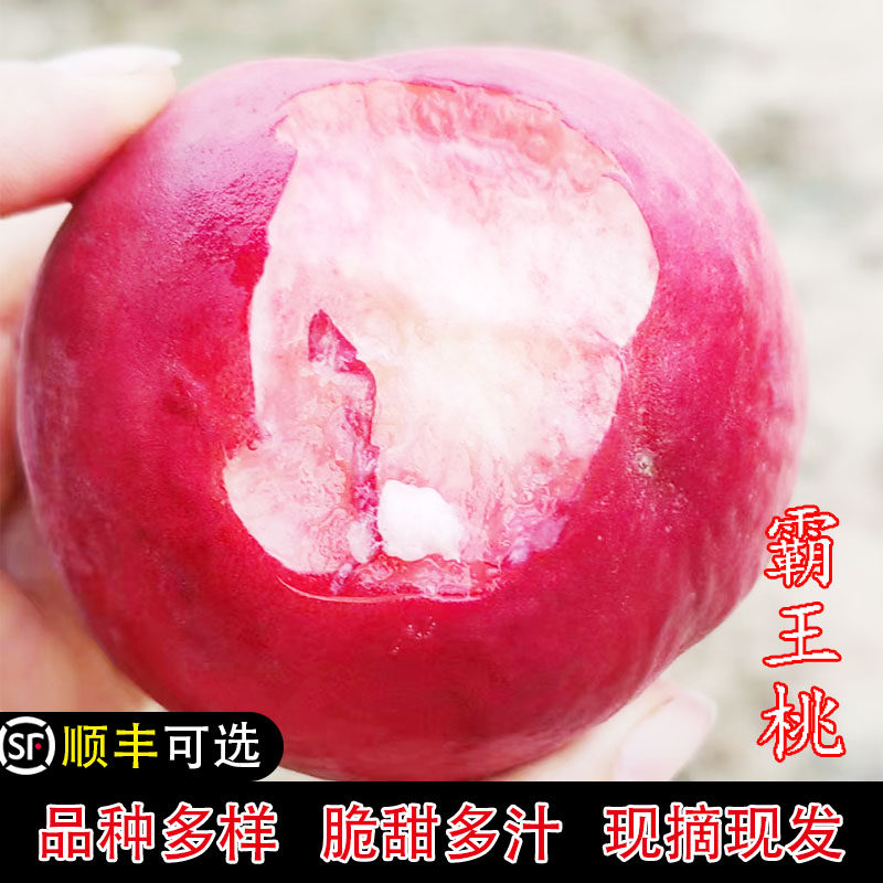 湖北襄阳枣阳桃好品种新鲜现摘应当季水果5斤顺丰整箱包邮水蜜桃