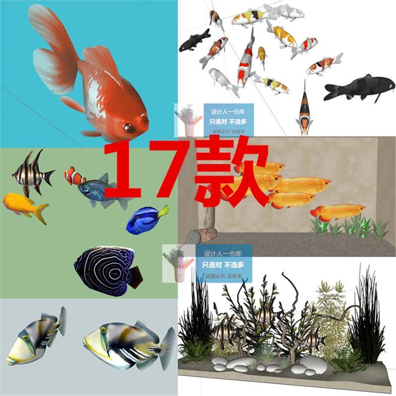 SU0218 室内景观 观赏鱼 鲤鱼 金鱼 金枪鱼 热带鱼草图大师SU模型