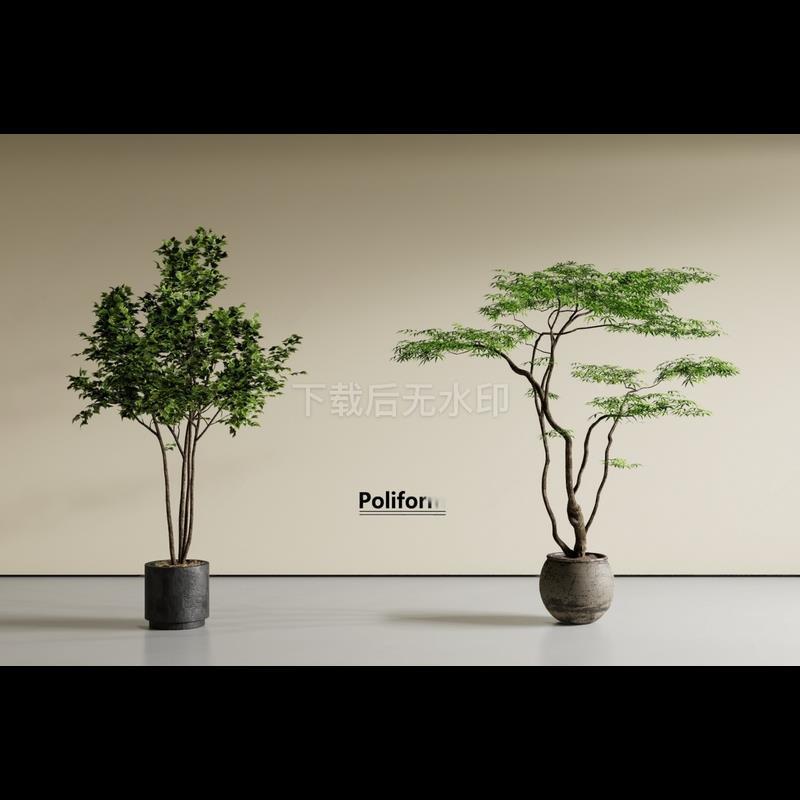 现代盆栽 枫树 盆栽景观树 鸡爪树 绿植盆栽 草图大师SU模型
