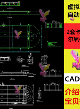 2套卡鲁塞尔氧化沟工艺设计CAD图纸Carrousel 卡鲁塞尔2000