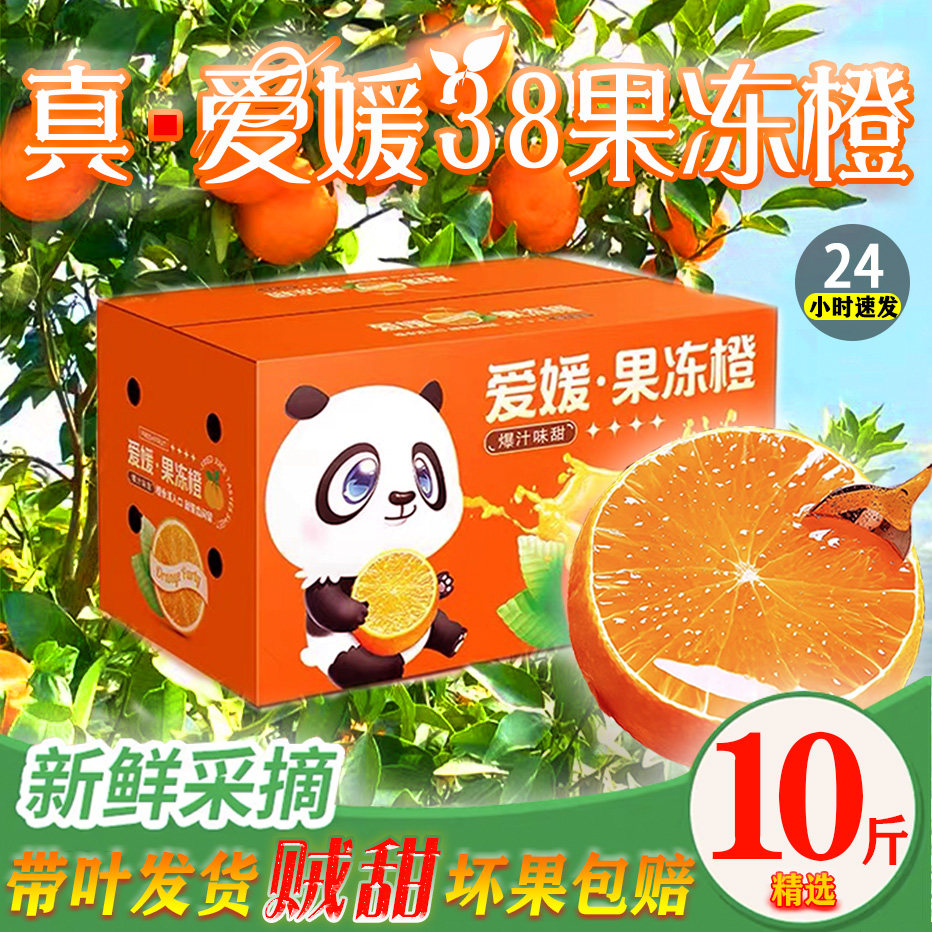 2025四川眉山爱媛果冻橙现摘现发