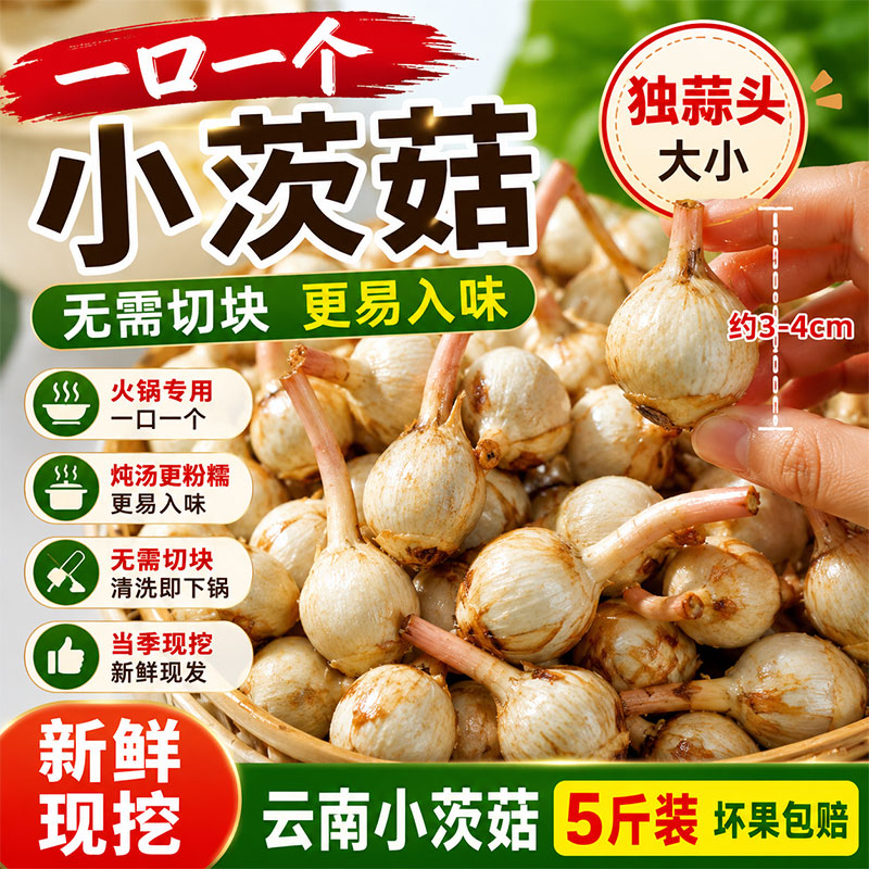 云南迷你小茨菇新鲜现挖5斤装一口一个无需切块火锅炖汤更易入味