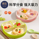 蒂乐宝宝餐盘分格盘婴儿吸盘式 自主进食吃饭矽胶碗儿童副食品餐具