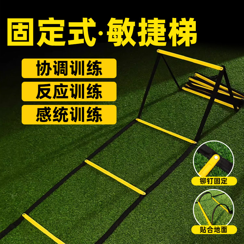 体能训练可折叠梯质量保证